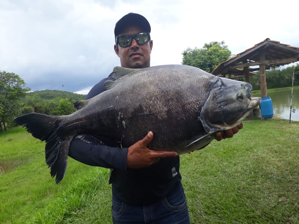 São mais de 40 anos de pesca esportiva no mundo